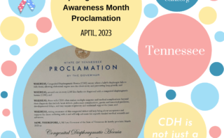 Illinois Proclaims April CDH Awareness Month