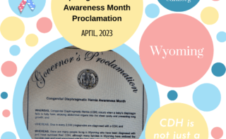 Hawaii Proclaims April CDH Awareness Month
