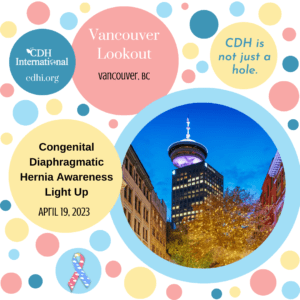 Vancouver Lookout