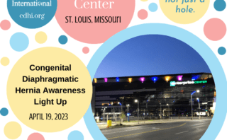 The St. Louis Wheel Lights Up For CDH Awareness