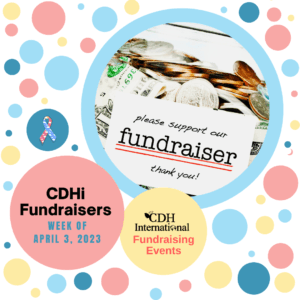 Fundraisers (32)
