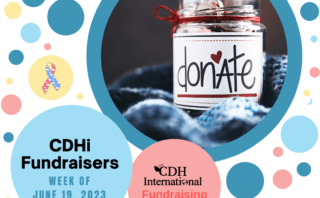Ada’s Birthday Fundraiser for CDHi
