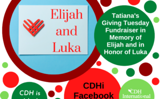 Riana’s Giving Tuesday Fundraiser for CDH International