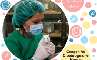 Research: Sustained inflation improves initial lung aeration in newborn rabbits with a diaphragmatic hernia