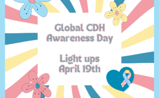 The 3D Toronto Sign Lights Up for CDH Awareness