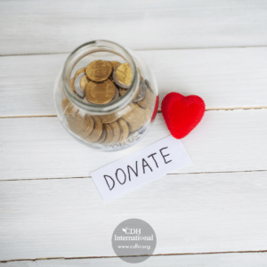 Fundraising 2024 Instagram FB Post Square Graphics for CDHi