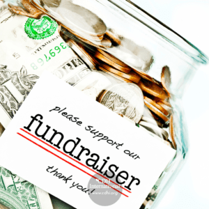 Fundraising 2024 Instagram FB Post Square Graphics for CDHi (4)