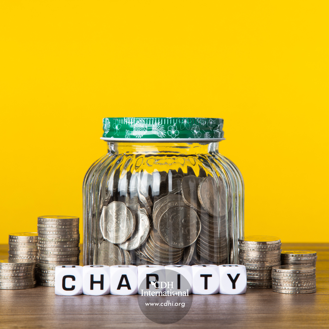 Fundraising 2024 Instagram FB Post Square Graphics for CDHi (6)