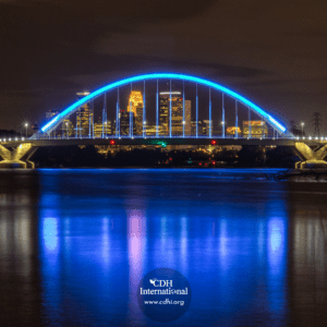 Lowry bridge