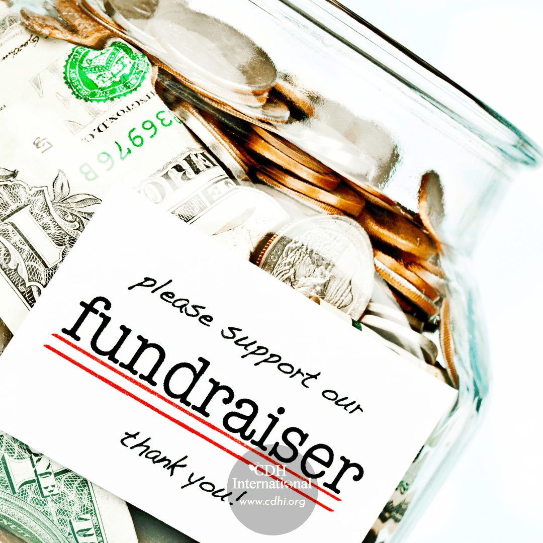 Fundraising 2024 Instagram FB Post Square Graphics for CDHi (2)