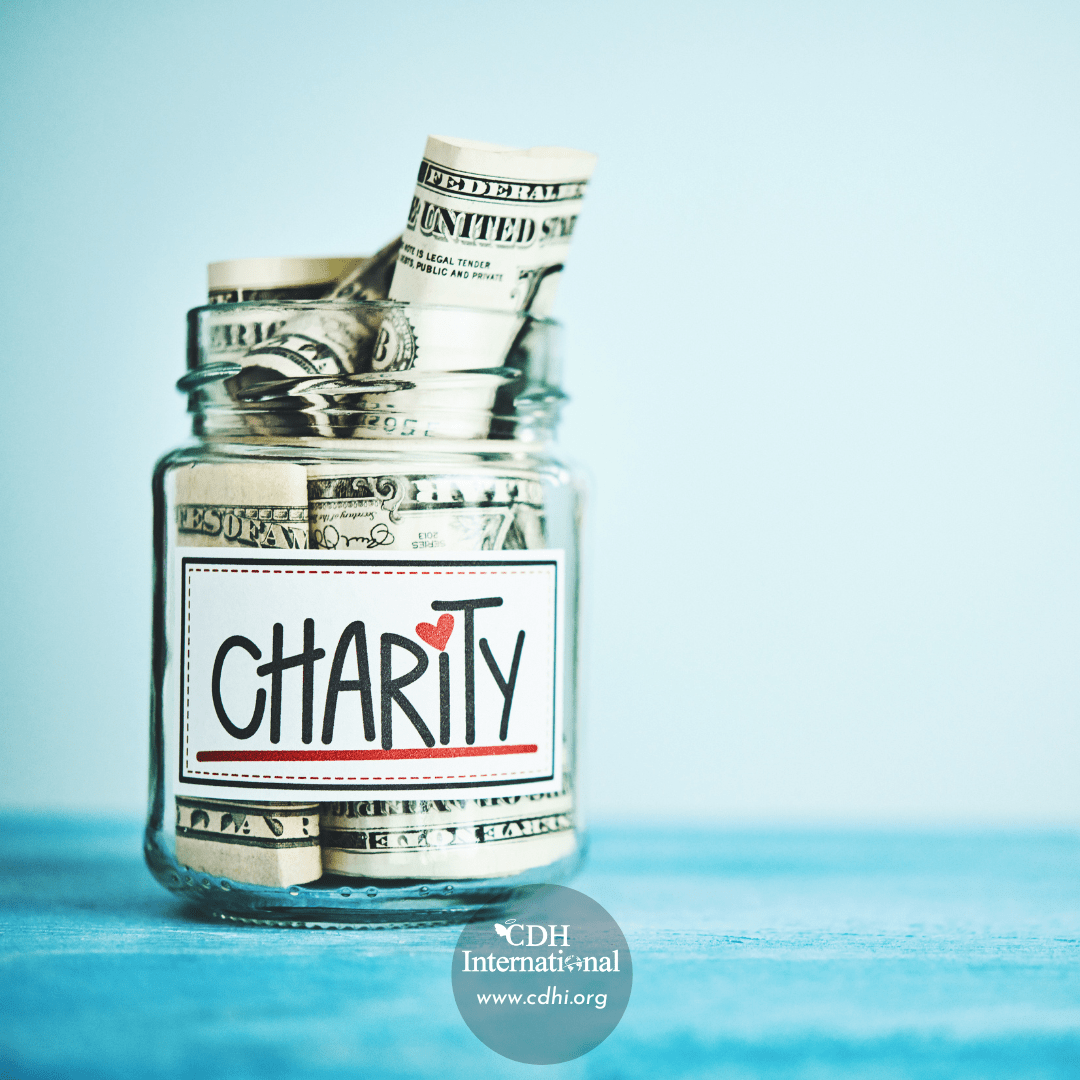 Fundraising 2024 Instagram FB Post Square Graphics for CDHi (26)