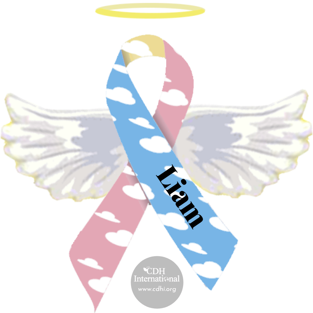 Fundraising 2024 Instagram FB Post Square Graphics for CDHi (11)