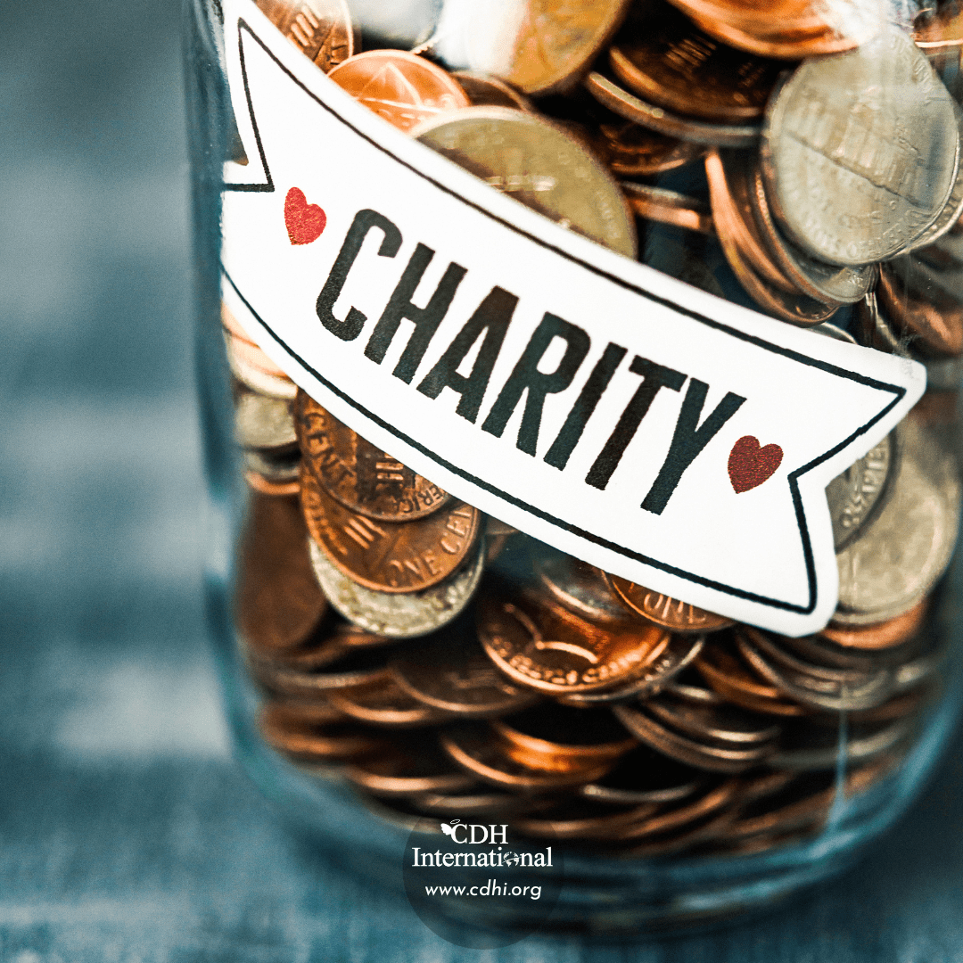 Fundraising 2024 Instagram FB Post Square Graphics for CDHi (9)