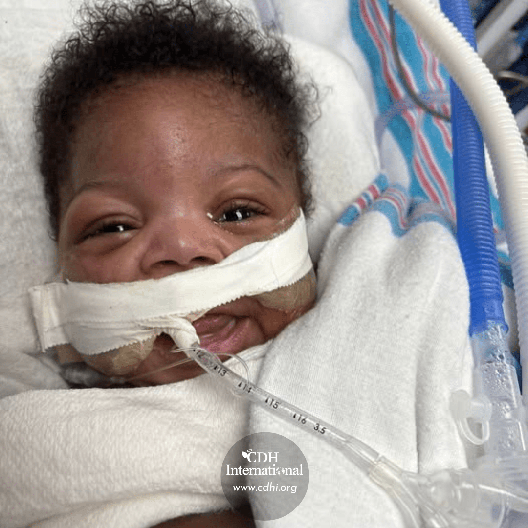 Fundraising 2024 Instagram FB Post Square Graphics for CDHi