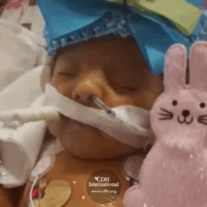 Fundraising 2024 Instagram FB Post Square Graphics for CDHi (22)