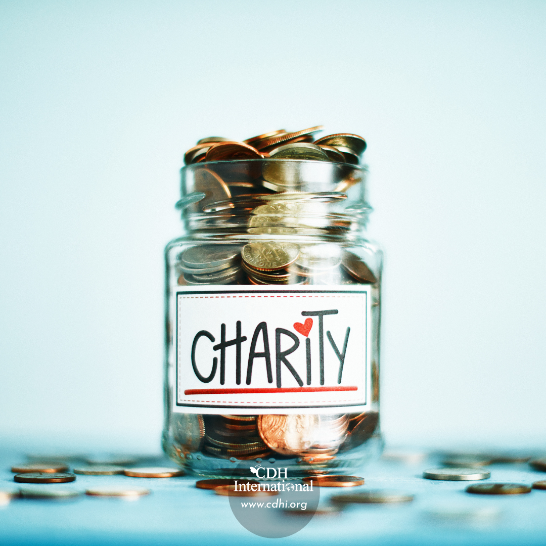 Fundraising 2024 Instagram FB Post Square Graphics for CDHi (24)