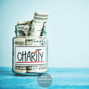 Fundraising 2024 Instagram FB Post Square Graphics for CDHi (18)