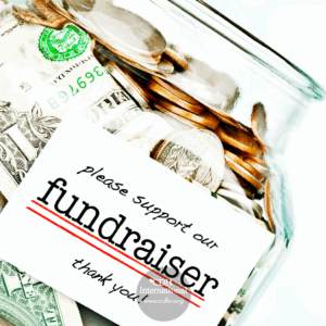 Fundraising 2024 Instagram FB Post Square Graphics for CDHi (15)