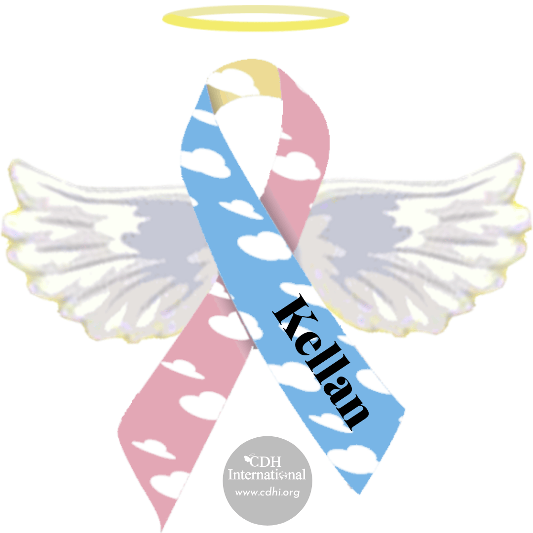 Fundraising 2024 Instagram FB Post Square Graphics for CDHi (24)