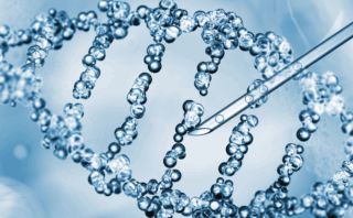 Research: Serum IL-6 levels correlate with surgical stress factors in newborns with congenital diaphragmatic hernia