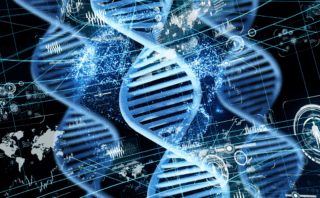 Research: Alphabet soup: a systematic approach to understanding congenital chest lesions