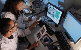 Research: Incidence of and risk factors for acute kidney injury in neonates with congenital diaphragmatic hernia