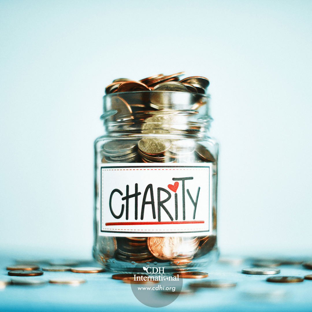Fundraising 2024 Instagram FB Post Square Graphics for CDHi (11)