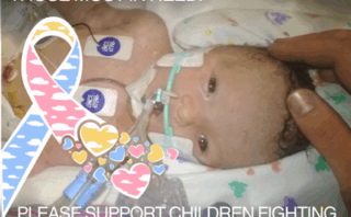 Featured Fundraisers for the Week of December 1, 2025