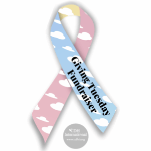 Fundraising 2024 Instagram FB Post Square Graphics for CDHi (35)