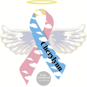 Fundraising 2024 Instagram FB Post Square Graphics for CDHi (36)