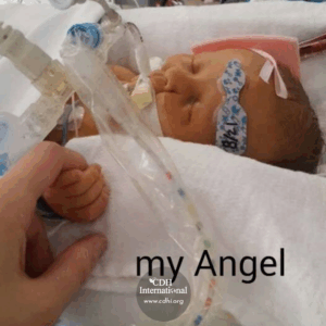 Fundraising 2024 Instagram FB Post Square Graphics for CDHi (37)