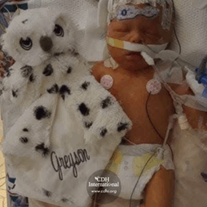 Fundraising 2024 Instagram FB Post Square Graphics for CDHi (39)