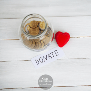 Fundraising 2024 Instagram FB Post Square Graphics for CDHi (40)