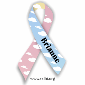 2026 Fundraisers (11)