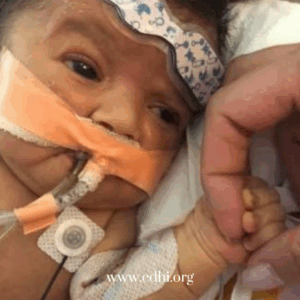 2026 Fundraisers (19)