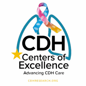 2025 CDH Trivia Pastel (2)