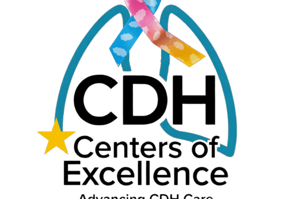 2025 CDH Trivia Pastel (2)