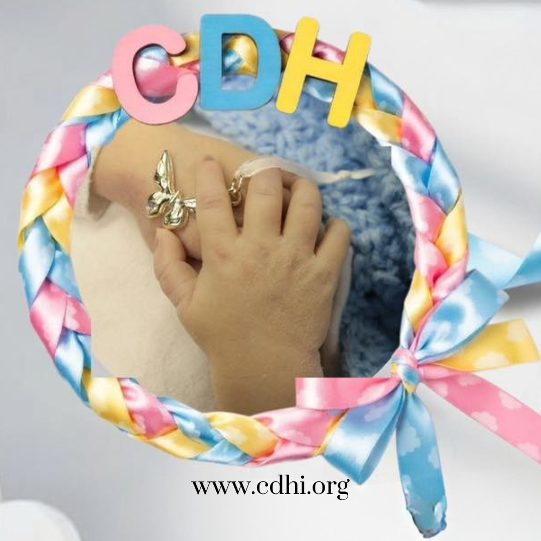 2026 Fundraisers (14)