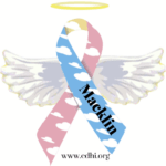 2026 Fundraisers (2)