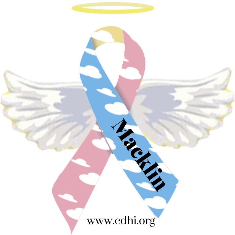 2026 Fundraisers (2)