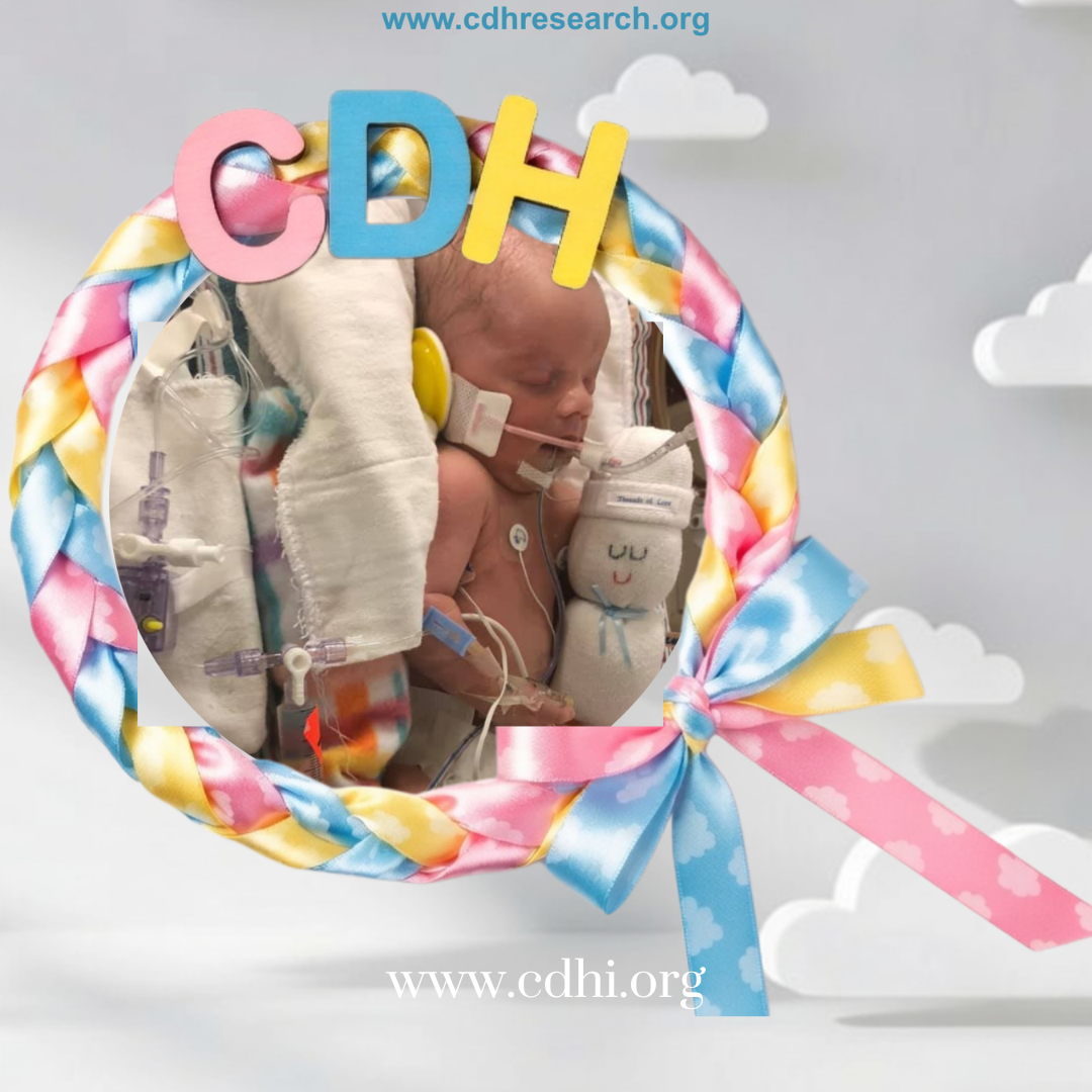 2026 Fundraisers (20)