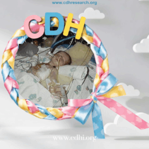 2026 Fundraisers (24)