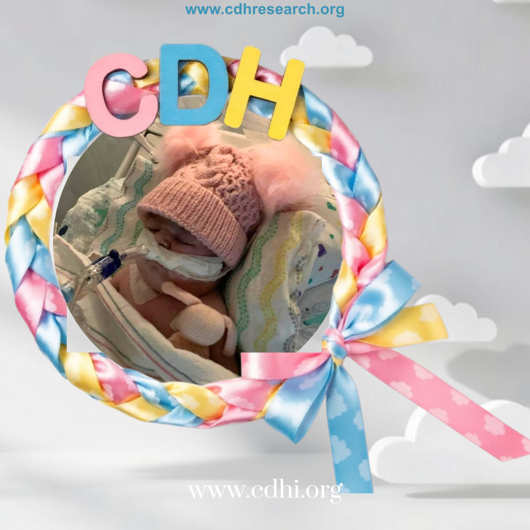 2026 Fundraisers (25)