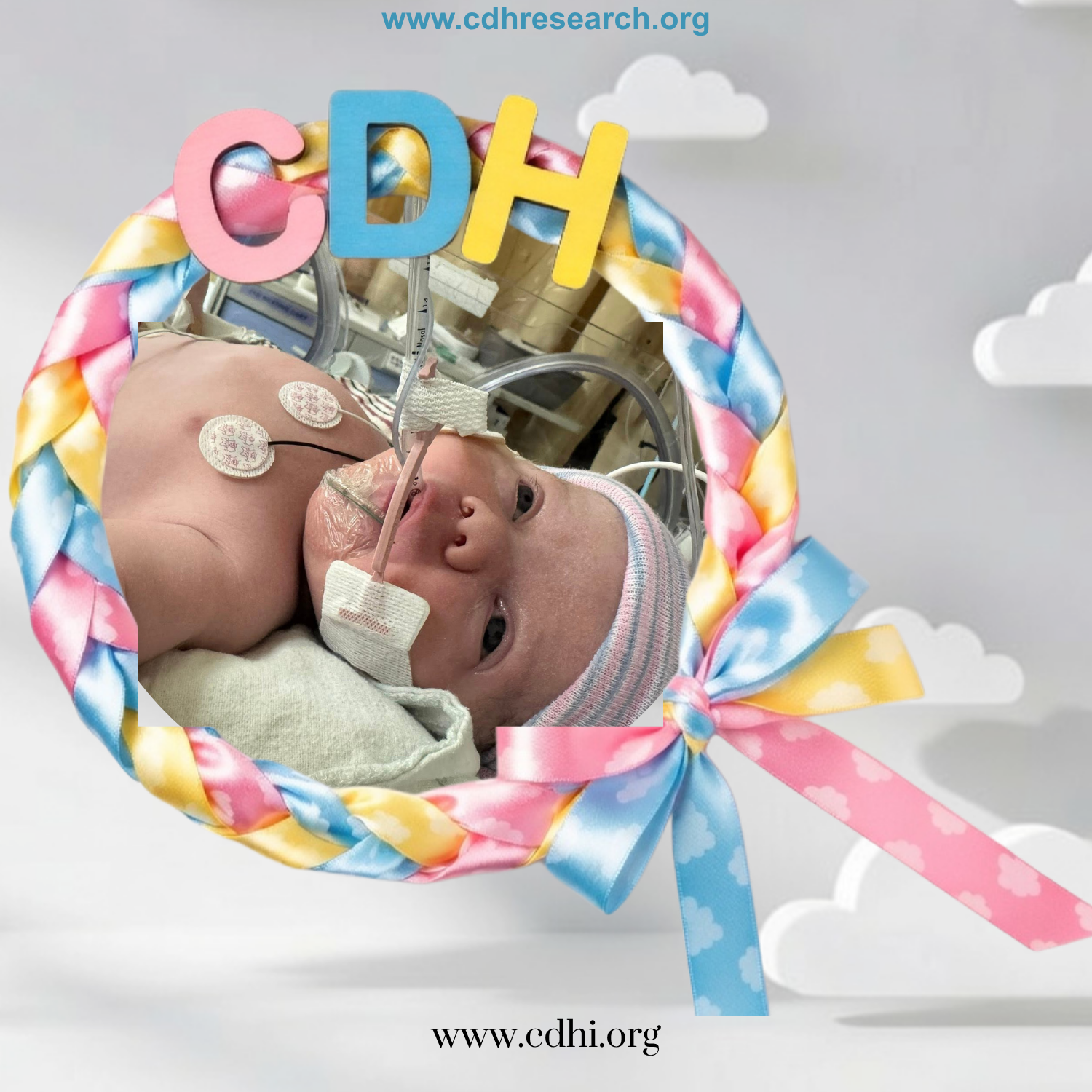 2026 Fundraiser Templates (1)