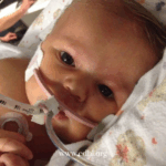 2026 Fundraisers (7)