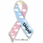 2026 Fundraisers (8)