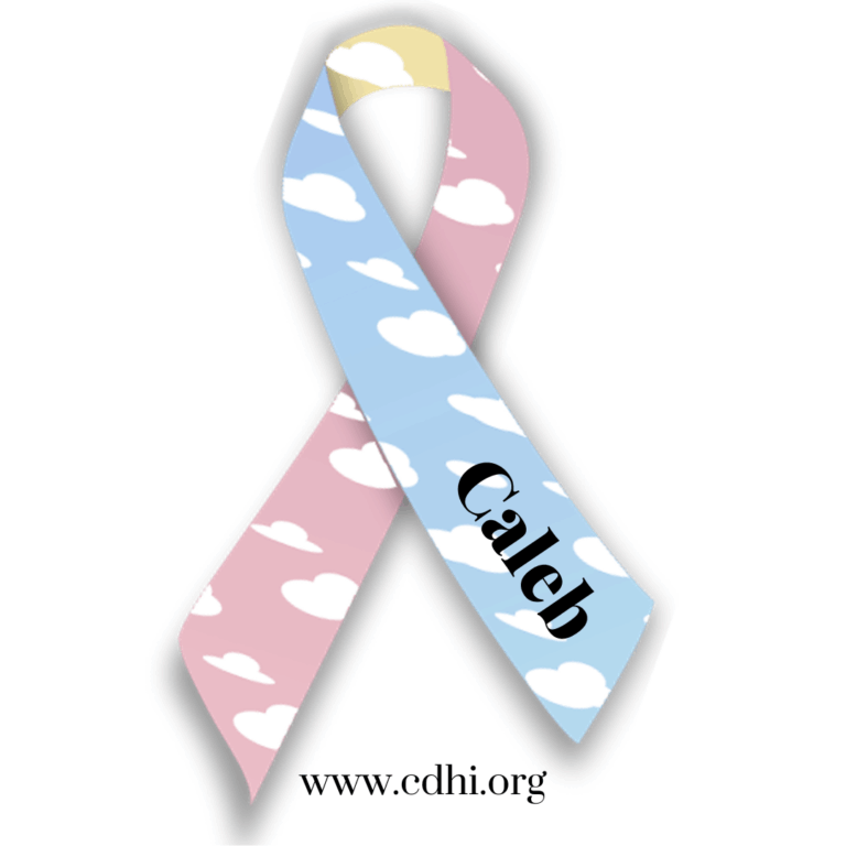 Pastel pink and blue awareness ribbon with cloud pattern, featuring the name Caleb and the website www.cdhi.org.
