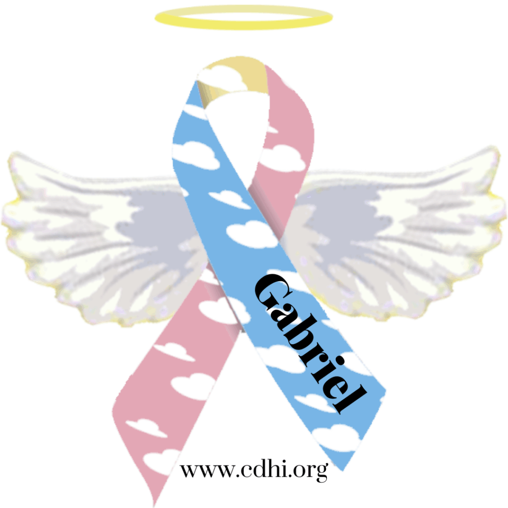 Awareness ribbon with pink and blue cloud pattern, white angel wings, a yellow halo, and the name 'Gabriel' across it, with www.cdhi.org at the bottom.