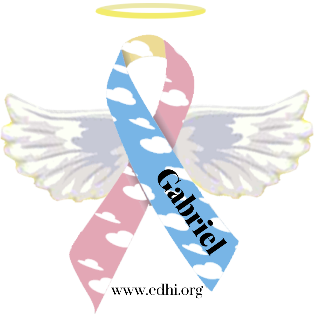 Awareness ribbon with pink and blue cloud pattern, white angel wings, a yellow halo, and the name 'Gabriel' across it, with www.cdhi.org at the bottom.