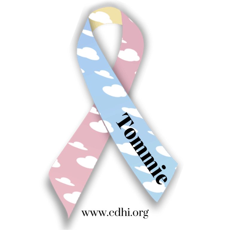 Pastel pink and blue cloud-pattern awareness ribbon, with a blue side overlapping the pink side; includes the text 'Romnie' on the blue pass and the website 'www.cdhi.org' at the bottom.